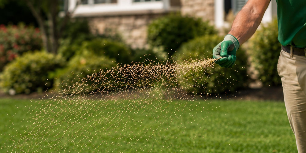 Professional lawn seeding and fertilization services in Westerly, RI